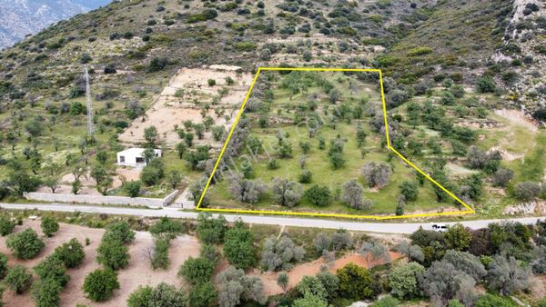 Datça Ela Emlak'tan Yazı Köyünde 5800 M2 Bademlik