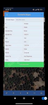 Finşke Ernez De Fırsat