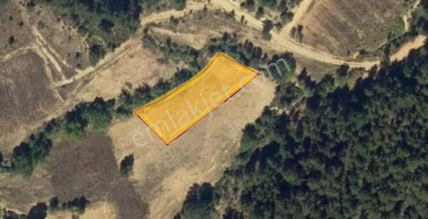 Manisa / Demirci / İsmailler'de / Tek Tapu 1552 M2 / Yatırımlık