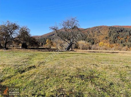 Elmalı Mahallesinde Asfalt Cepheli İmarlı 4500 M2 Satılık Arsa