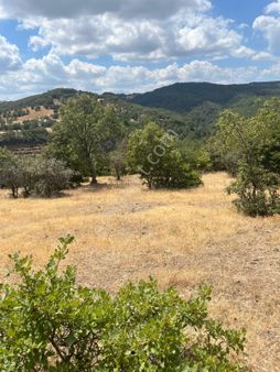 Havran Küçükşapçıda Müstakil Tapulu Satışa Hazır Geniş Yol Cepheli 10.592m2 Arazi