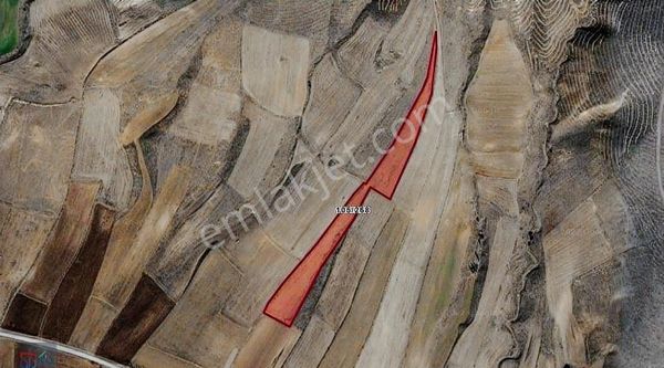 Sinan Gayrimenkulden Gemerek Hacıyusuf Mh. Yatırımlık Tarla