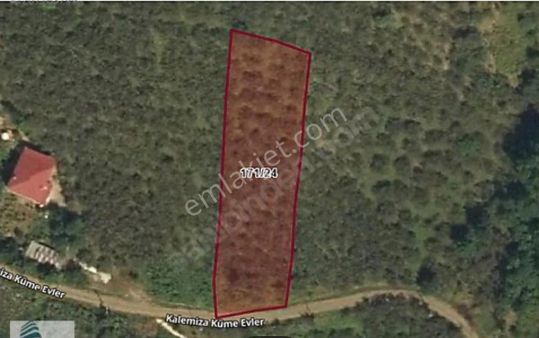 Fındık Bahcesı243619211