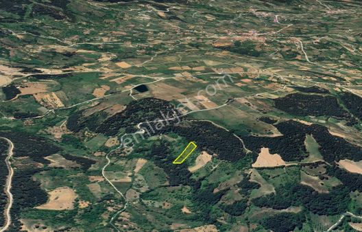 Osmangazi Büyükdeliler Mahallesi 3.432 M2 Satılık Tarla