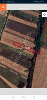 Tekırdag Saray Demirlerde De Satılık 4043 M2 Tarla