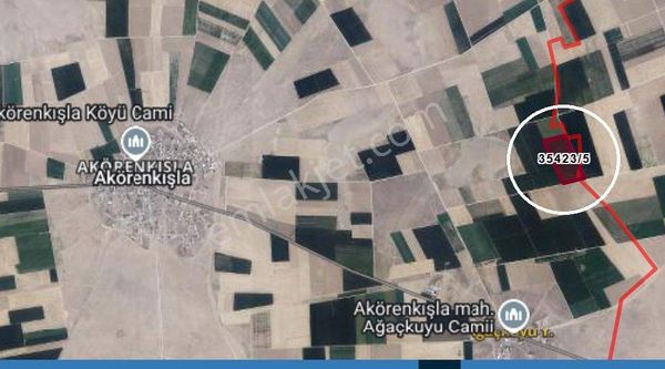 Konya Obruk Bölge Akörenkışla Tek Parça Verimli Sulak Arazi Acil Satılık