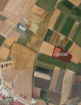 Bandırma Ömerli Köyü Satılık Tarla