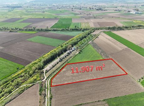 Bergama Dündarlı Mahallesi Şok Fiyat! 11.907 M² Tarla