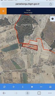 Asvalt Yola 300 Metre Trilye Bahçezi