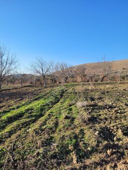 Cevizli Köyünde Satılık Küçük Parça Tarla
