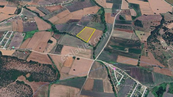 Nilüfer Çatalağıl Mahallesi 11.600 M2 Satılık Tarla