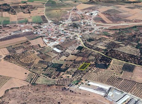 Karacabey Çavuş Mahallesinde 1.600 M2 Satılık Bağ