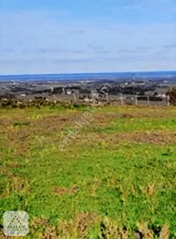 Akalan Arsa Ofisi Bafra-sürmeli Köyü Köy İçi Satılık Tarla