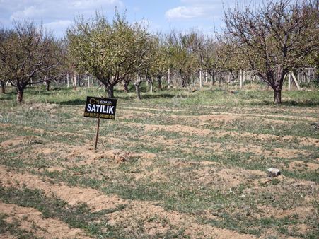 Sazlıca Yeni Mahallede Satılık 600 M2 Arsa , Cm Emlaktan
