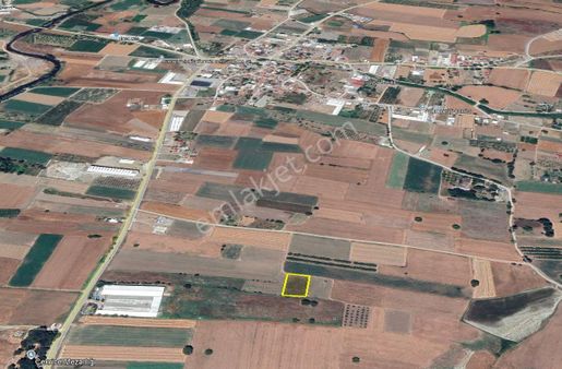 Mudanya Çekrice Mahallesinde 1.596 M2 Satılık Tarla