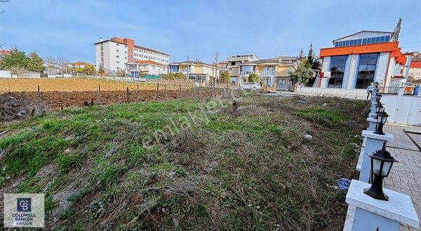 Cb. Amazon'dan Bafra'da Arsa