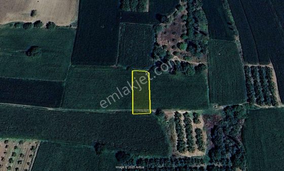 Karacabey Dağkadı Mahallesinde 740 M2 Satılık Yola Cepheli Cevizlik