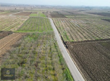 Sakarya Hendek 2.organize Sanayi Bölgesi Yanında Fırsat Tarla