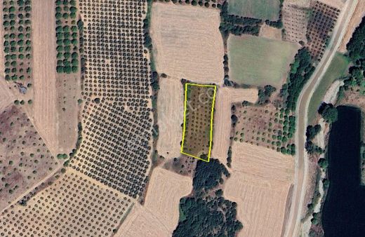 Karacabey Dağkapı Mahallesi 4.100 M2 Satılık Tarla