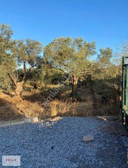 Cunda Adası Patriça Da Satılık İçinde Ev Olan Hobi Bahçesi