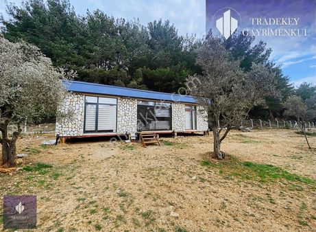 Urla Yenice Mahallesinde Anayol Cepheli 486 M2 Satılık Tarla