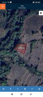 Kocaeli Kandıra Terziler Köyünde Yatırımlık Tarla 1186m