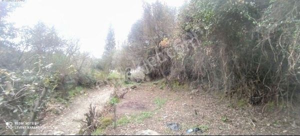 Milas Selimiye Etrenli'de Köyiçi Satılık Arsa