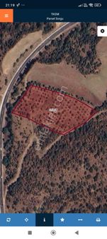 Uluderbent Mah Alaşehir Satılık Zeytinlik