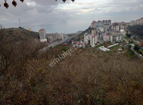 Serkan Emlaktan Beşirlide Satılık Arsa