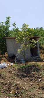 Suyu, Yolu Olan Yatırımlık Tarla