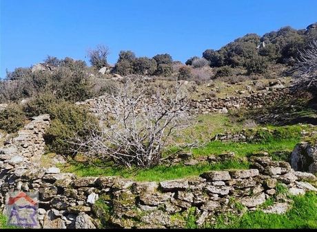 Karacaören De Kadastro Yoluna Cepheli Hobi Bahçesi