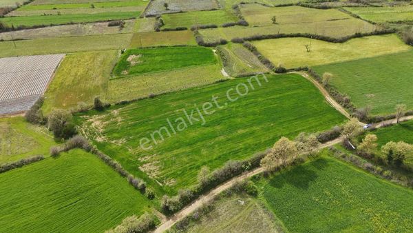 Kazdağlarında Termal Turizm Köyünde 9.398 M² Satılık Tarla!