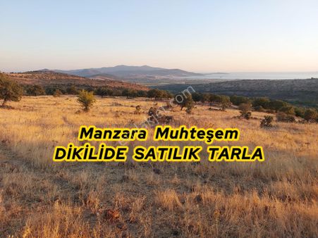İzmir Dikili Kızılçukurda Satılık Muhteşem Deniz Manzaralı Tarla