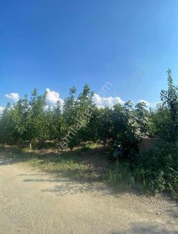 Hd'den Yatırımlık Fırsat Tarla