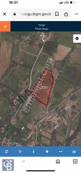 Paşaköy De Merkezi Konumda Satılık Tarla