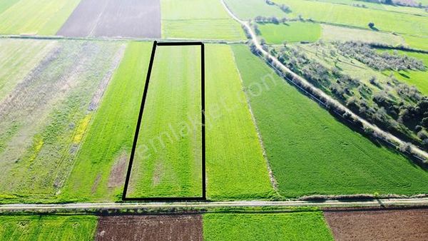 Çanakkale Bayramiç Pıtreli Ovasında Yolu Suyu Olan Tarla