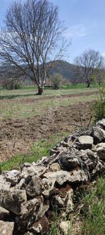 Acil Satılık !!! Burdur Ağlasun Hisarköy Muhteşem Konumda Tarlalar