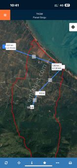 Hecelerde Göl Manzaralı Zeytinlik