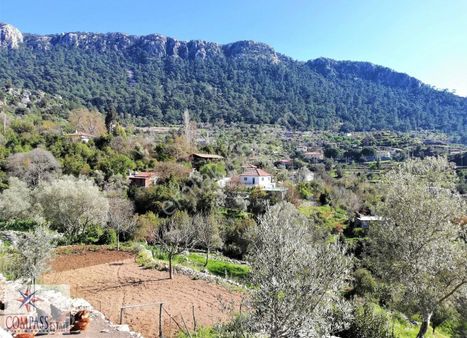 Marmaris Bayır Köyünde Satılık Yola Cepheli 2.200 M2 Tarla