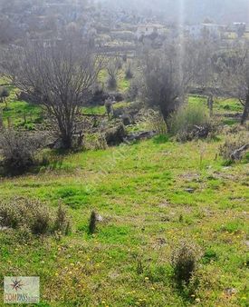 Marmaris Osmaniye Köyünde Satılık Tarla