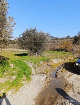 Yırca Mah.satılık Hobi Bahçesi