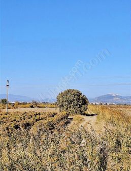 Dallas Çiftliği Arkasında Yatırımlık Tarla