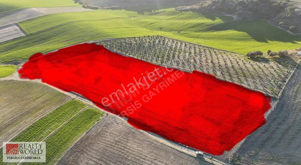 Rw Tersis'den Sağlıklı Yeni Organize'de 16 Dönüm Satılık Arsa
