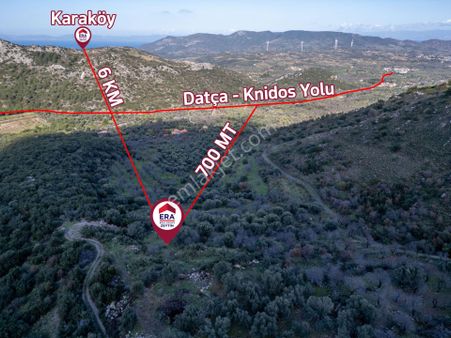Datça Hızırşahta 4.783m2 Muhteşem Manzaralı Satılık Fırsat Arazi