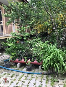 Kartal Gayrimenkul'den Sınanpaşa'da Müstakil Ev