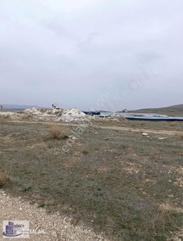 Söğüt Emlak'tan Pınar Mermer Yanında Satılık Tarla