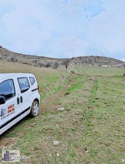 Söğüt Emlak'tan Satılık Büyük Tarla