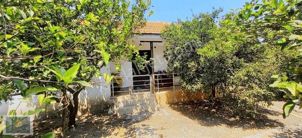 Lavinia'dan Satılık Müstakil Ev