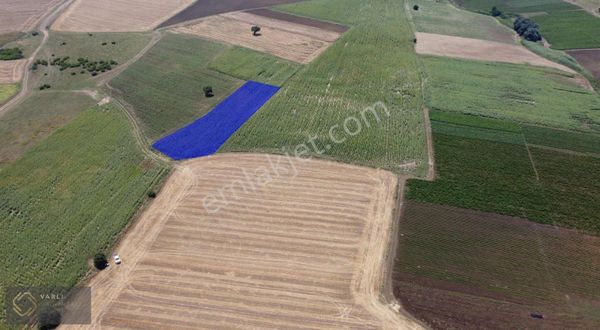 Bandırma Ömerli Satılık Fırsat Tarla