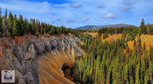 Urla Bademlerde Satılık Zeytin Ağaçlı Tarla